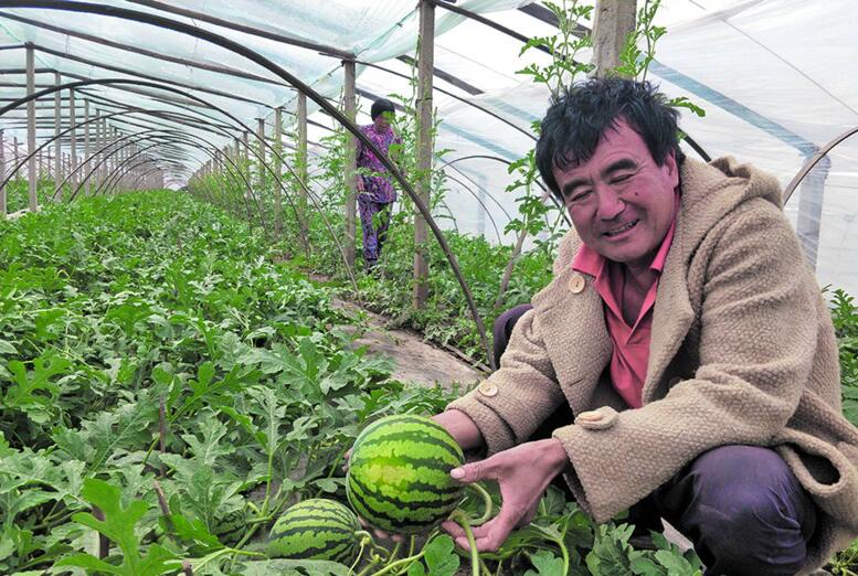 青岛本地疫情最早情况揭秘