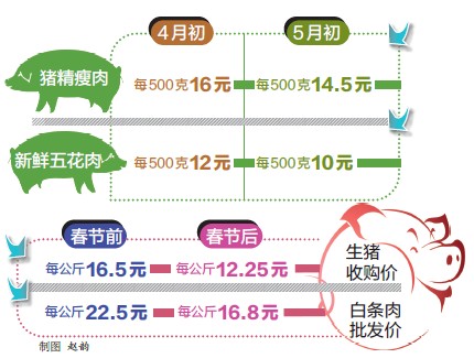 全国今日猪肉价格动态分析与早期行情分析