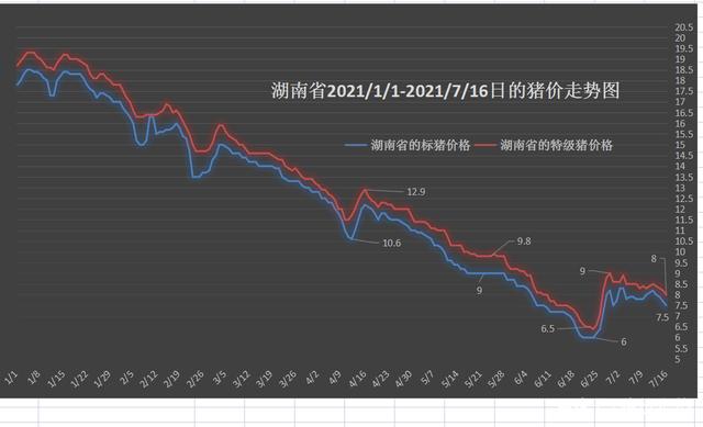 湖南今日猪价最早行情