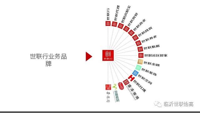 世联最早情况深度探究