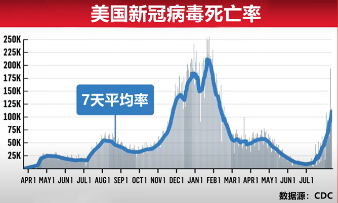 2025年3月 第206页