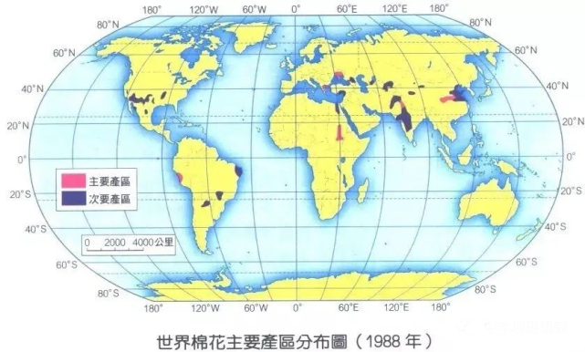 棉花产量早期情况探究与分析