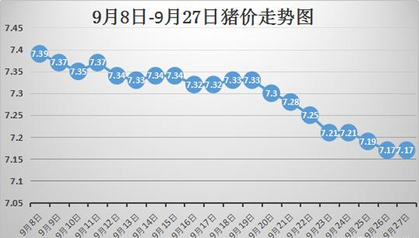 今日猪价格行情分析与展望，最新行情及未来趋势预测